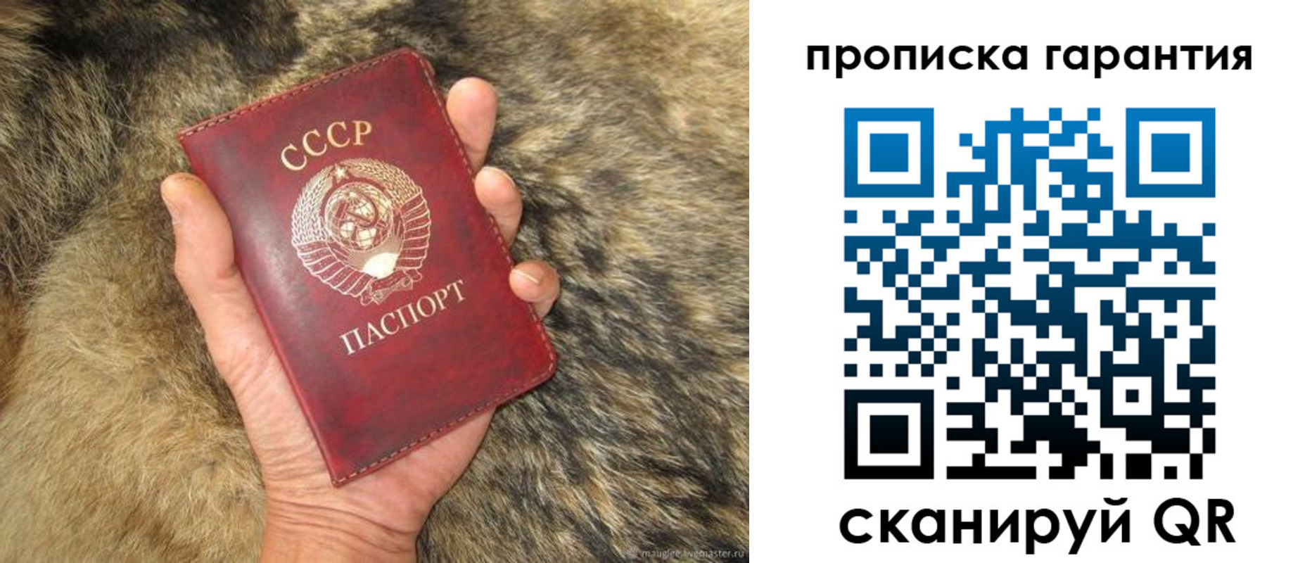 прописка паспорт в Краснозаводске